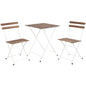 3Pcs Outdoor Garden Wooden & Metal Furniture Foldable Table & Chairs Bistro Set
