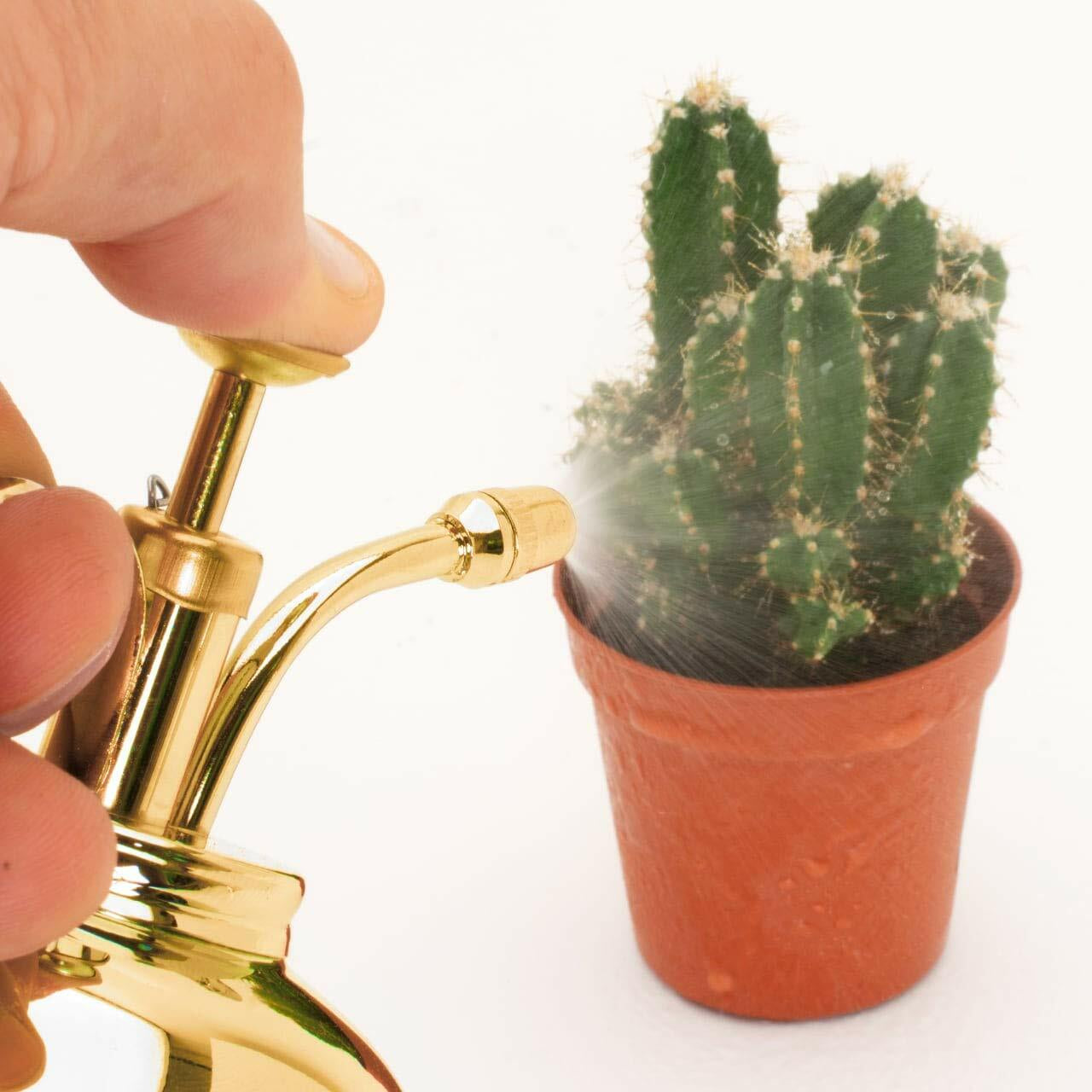 Plant Water Mister Vintage Polished Solid Brass Spray Indoor Garden Bottle 300Ml