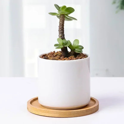 Multi Bamboo Tray Wood Saucer Flower Pot Tray Cup Pad Coaster Plate Kitchen Decorative Plate Creative Coaster Coffee Cup Mat