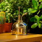 Plant Water Mister Vintage Polished Solid Brass Spray Indoor Garden Bottle 300Ml